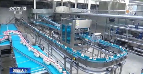 又上央視 孝感米酒飄香