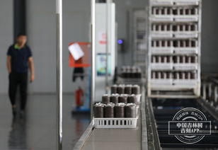 延邊汪清奏響 脫貧致富經 小小木耳托起村民 增收夢