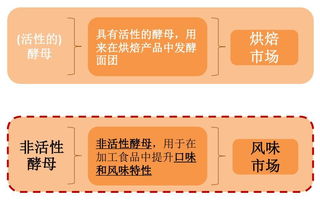 活色添香 的小小酵母,百億美元市場(chǎng)的背后是誰在叱咤風(fēng)云