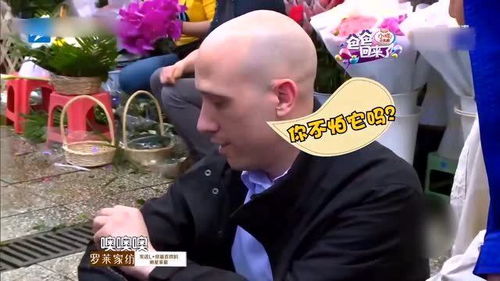 星二代英語有多好 吳尊兒子講英語沙溢一臉懵,小小春在線翻譯