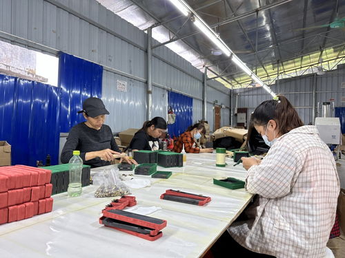 防城區十萬山瑤族鄉 小小微工廠,托起群眾增收夢