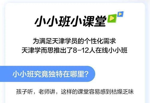 真相揭秘 12人在線小小班教學6步法