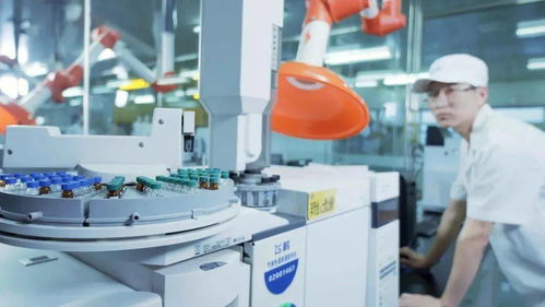 當年一天肩扛5000包奶粉的人,如今都成了 數字人