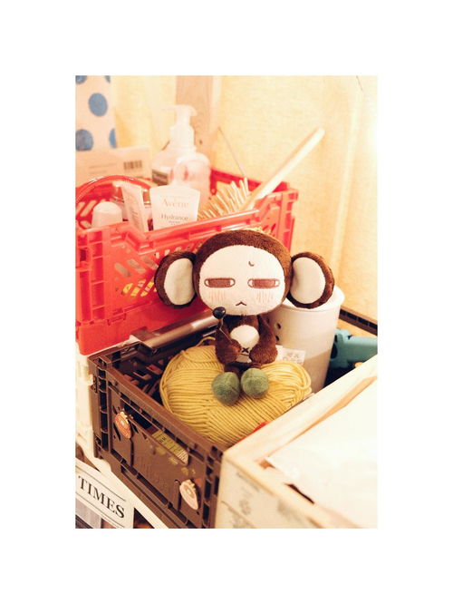 做產品 小小不高興之第三代小猴子