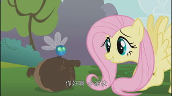 小小心 高清 在線觀看 –