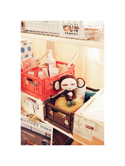 做產品 小小不高興之第三代小猴子