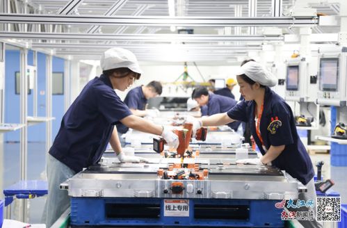 小巨人 有大智能 一部手機就能管理一座工廠