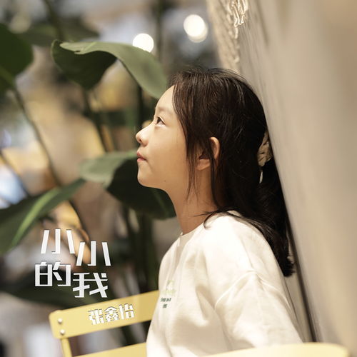 小小的我 張鑫怡 高音質在線試聽 小小的我歌詞 歌曲下載 酷狗音樂