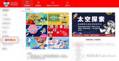 全城華人家長都可以免費領取的福利 我們邀請您的寶貝來做小小體驗官 免費試課 5節特色課程免費送