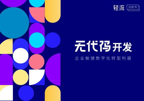 無(wú)代碼開(kāi)發(fā)白皮書(shū) 企業(yè)數(shù)字化轉(zhuǎn)型的利器